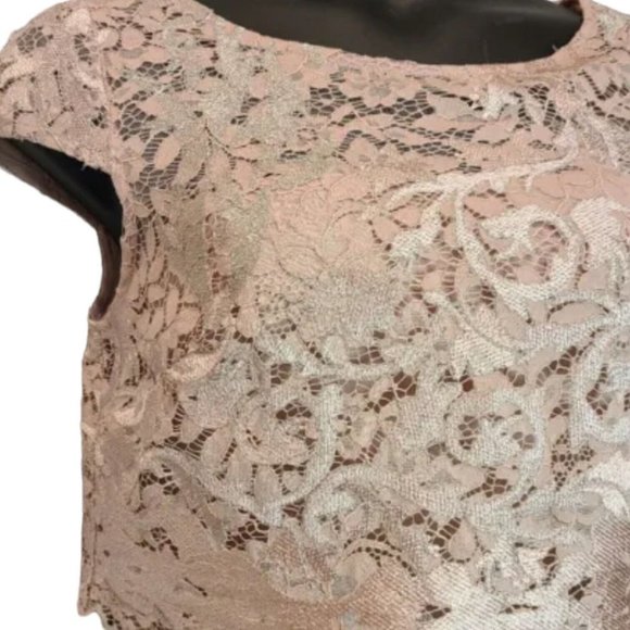 NWT Adrianna Papell Dusty Rose Embroidered Lace Popover Dress Size 2 NEW - Picture 5 of 15